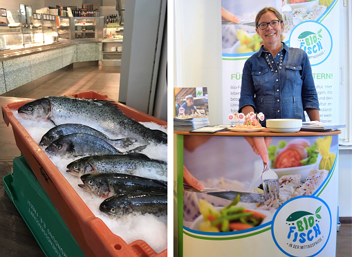 Bild News Bio Fisch in der Mittagspause klein