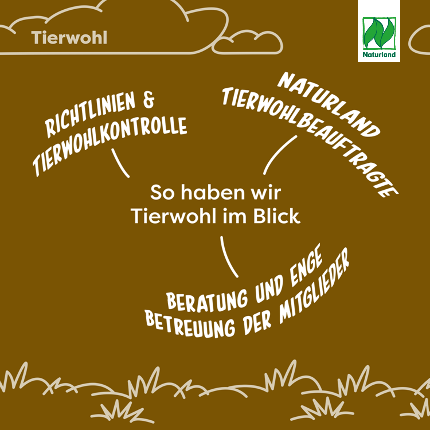 3 Tierwohl