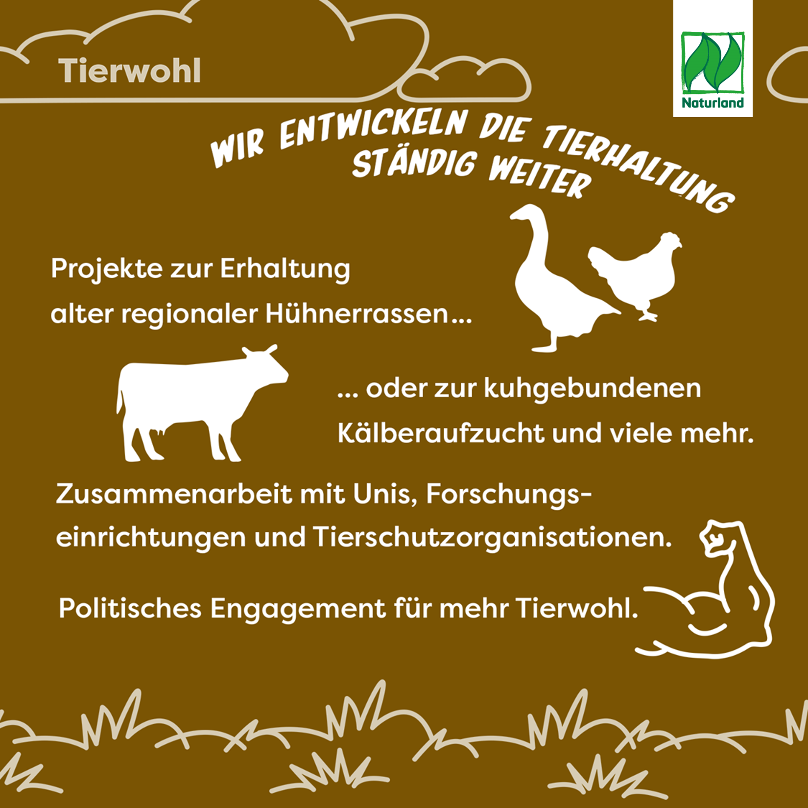 4 Tierwohl