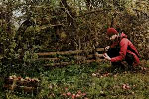 Johannes Emken Organiced Kitchen Bio-Caterer