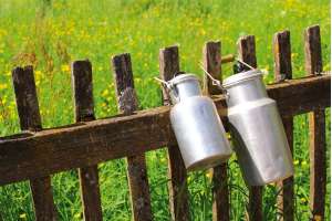 Käserebellen Naturland Partner