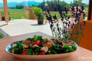 Beim Kerner Naturland-zertifiziertes Bio-Gericht